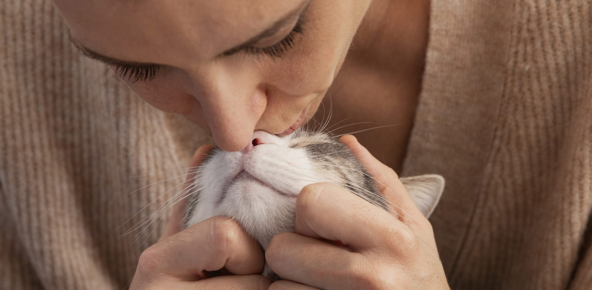 b27ce7e71bec4759a45814c08b3f4139