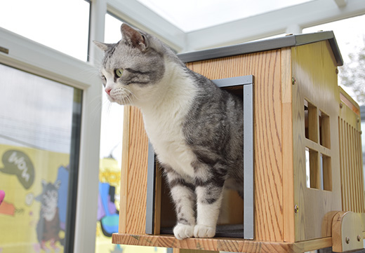 九游老哥J9俱乐部官网 - J9俱乐部老哥互换社区