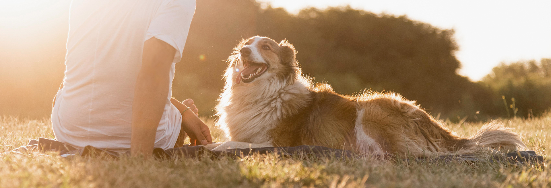 九游老哥J9俱乐部官网 - J9俱乐部老哥互换社区