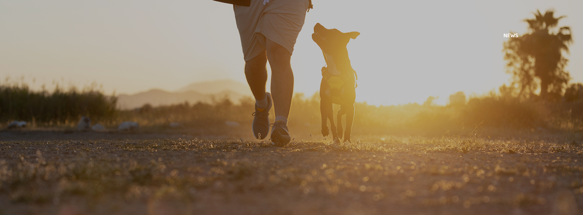 九游老哥J9俱乐部官网 - J9俱乐部老哥互换社区