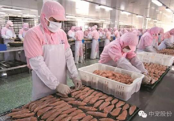 db8603b7b82c4cb4a3736b3e4dcfad38