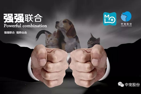 九游老哥J9俱乐部官网 - J9俱乐部老哥互换社区