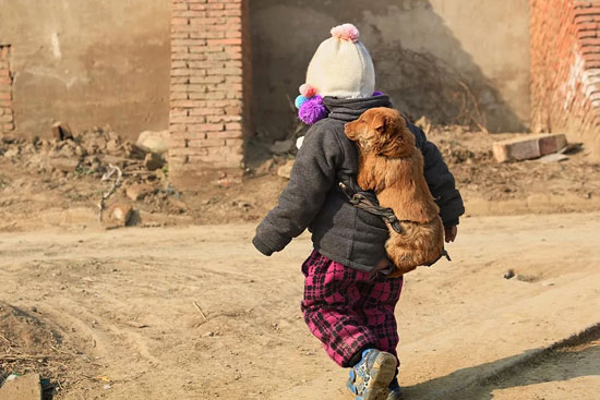 九游老哥J9俱乐部官网 - J9俱乐部老哥互换社区