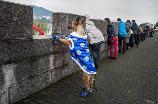 21fd2ee7e79848c7bcdecca8e13eebad