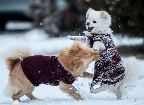 391b50f852974e7d9b392bd3c93cdae6