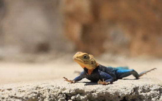 55788740d7f04006a81b042603d4aec7