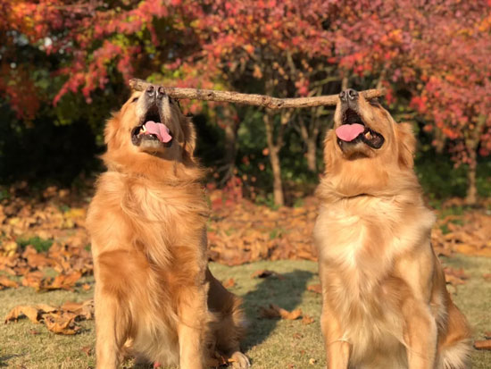 70821409e53a44e78f2ab8dc73f8cc32