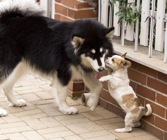 812aa0d01e574cc78040e8420e7306c6