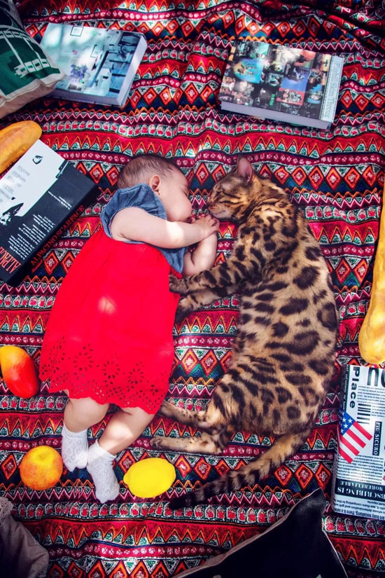 九游老哥J9俱乐部官网 - J9俱乐部老哥互换社区