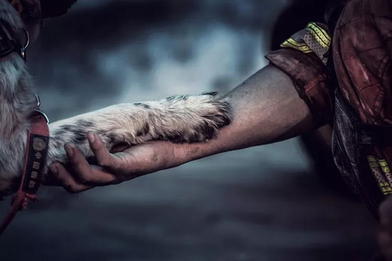 e64e2ba330594889bf5ff3419908ddf5