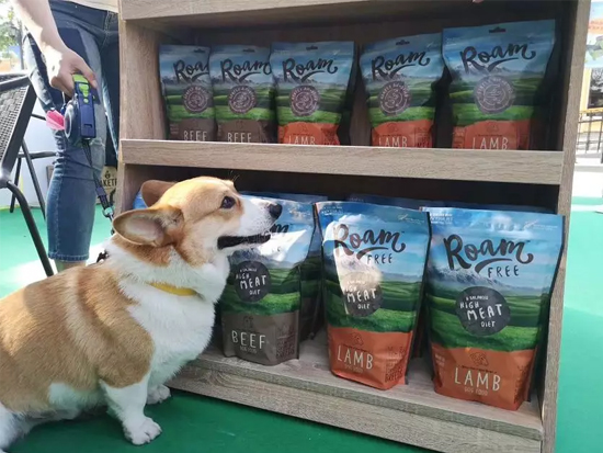 dffbeaa953064ce3bf5803e005074715