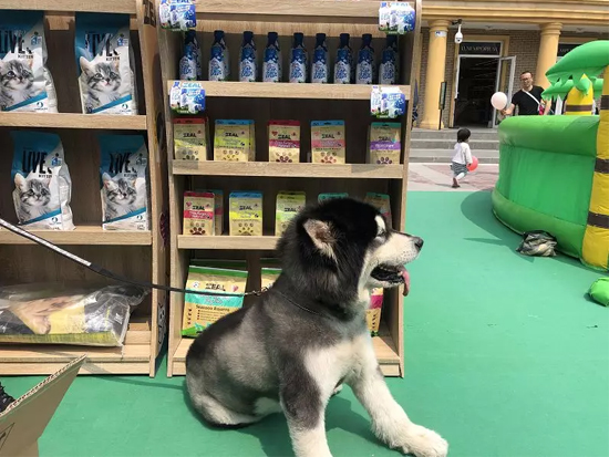 f2c81a9263154f8aab1a2bc6e1028b76