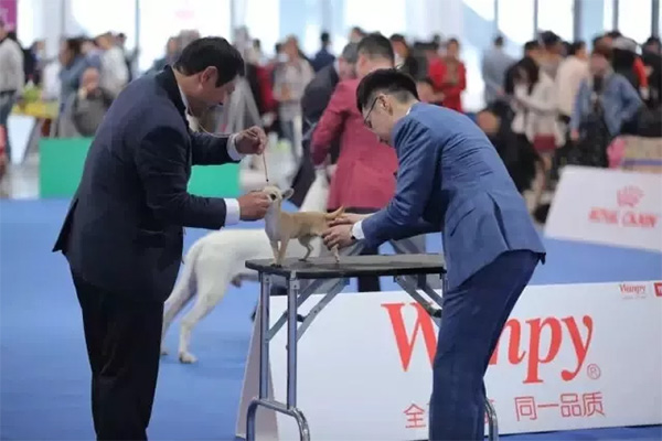 1bc4526ef9314199b202fb660b798222