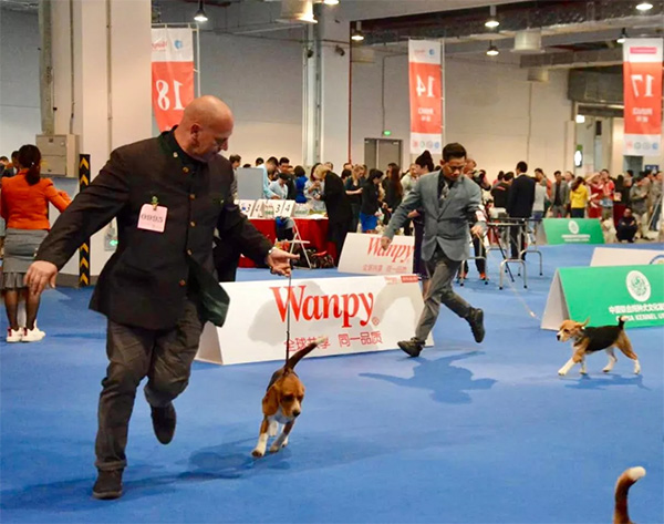 ce9776d6426b4e2687c9deeef6849445