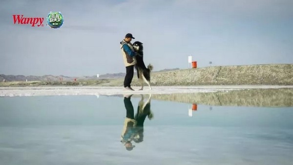 238332e596c3413e9ac9d507c7d1f816