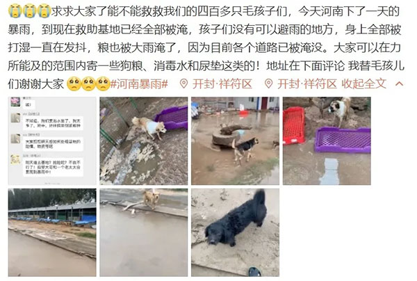 2d72804c25d14a76bf49553aad85597c