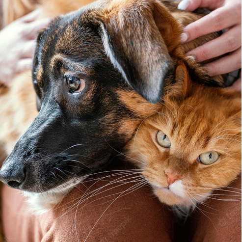 九游老哥J9俱乐部官网 - J9俱乐部老哥互换社区