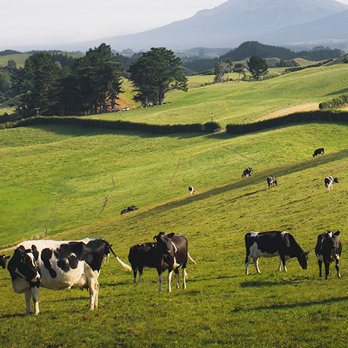 九游老哥J9俱乐部官网 - J9俱乐部老哥互换社区