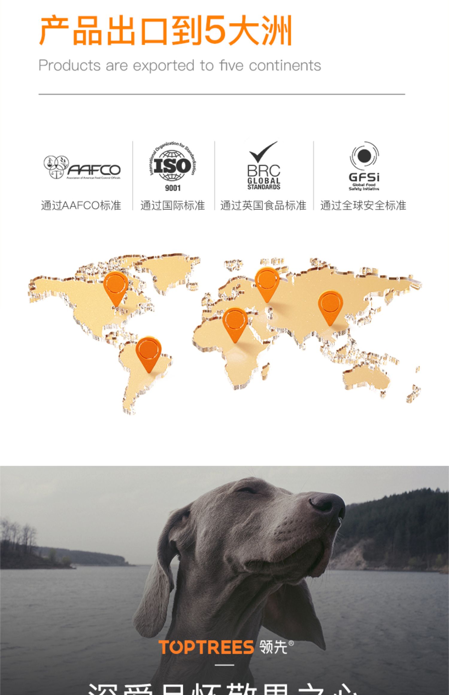 a9051c57aa474658b41f564e75506a9e