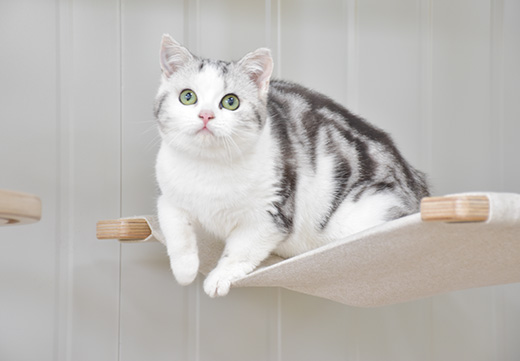 九游老哥J9俱乐部官网 - J9俱乐部老哥互换社区