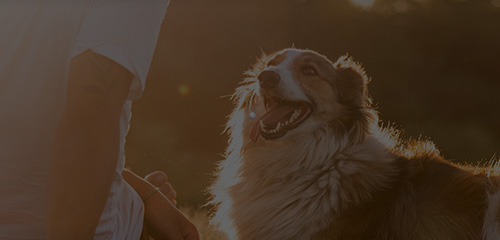 九游老哥J9俱乐部官网 - J9俱乐部老哥互换社区