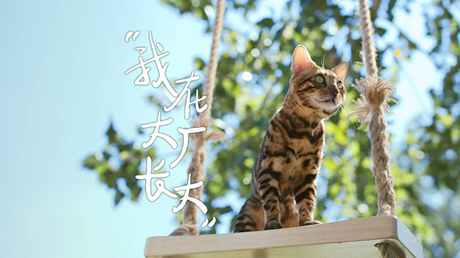 050fa3b59d7a42d6b88a56da439b5f5f