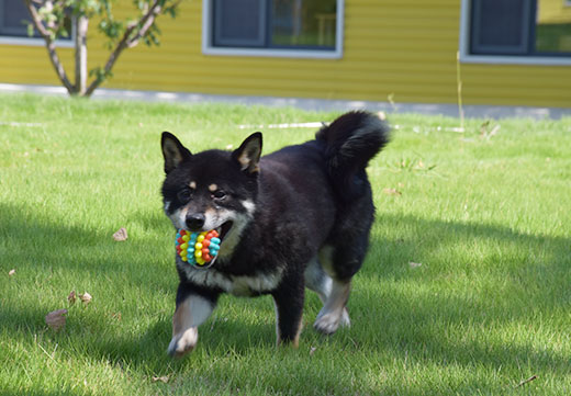 九游老哥J9俱乐部官网 - J9俱乐部老哥互换社区