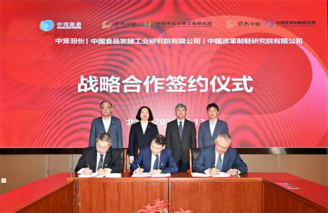 84437a1566a64311842287237c32ff84