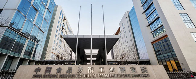 ab208420a04b4344961773846615dbd6